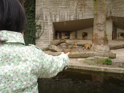 amelie zoo 2.jpg